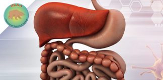 Prevalenza Sintomi Gastrointestinali nella Sindrome di Angelman | OR.S.A. Organizzazione Sindrome di Angelman