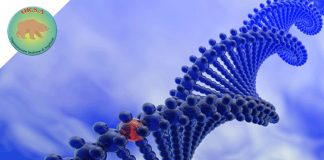 Nuova Compagnia Biotech | OR.S.A. Organizzazione Sindrome di Angelman