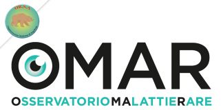 Qualità della Vita nella Sindrome di Angelman | OR.S.A. Organizzazione Sindrome di Angelman