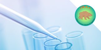 Cannabidiolo su Modello Animale con Sindrome di Angelman | OR.S.A. Organizzazione Sindrome di Angelman