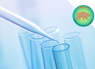 Cannabidiolo su Modello Animale con Sindrome di Angelman | OR.S.A. Organizzazione Sindrome di Angelman