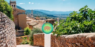 Sindrome di Angelman - XXVI Congresso Nazionale OR.S.A. | OR.S.A. Organizzazione Sindrome di Angelman