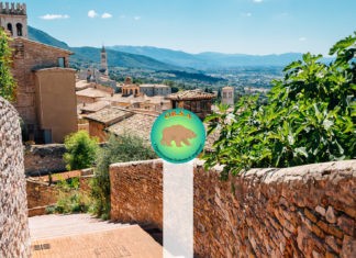 Sindrome di Angelman - XXVI Congresso Nazionale OR.S.A. | OR.S.A. Organizzazione Sindrome di Angelman